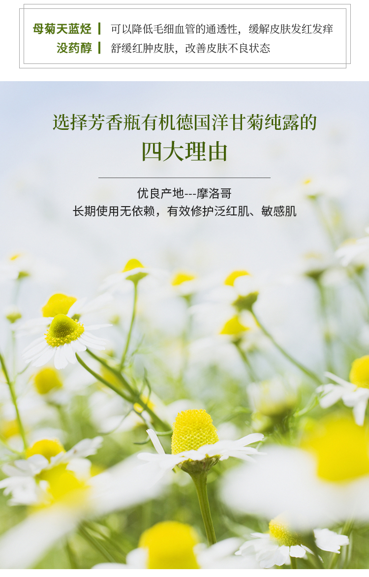 有机德国洋甘菊纯露